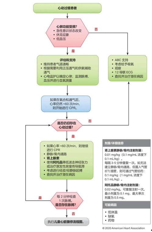 保险理赔爆料流程视频教程,轻松掌握理赔流程  第1张